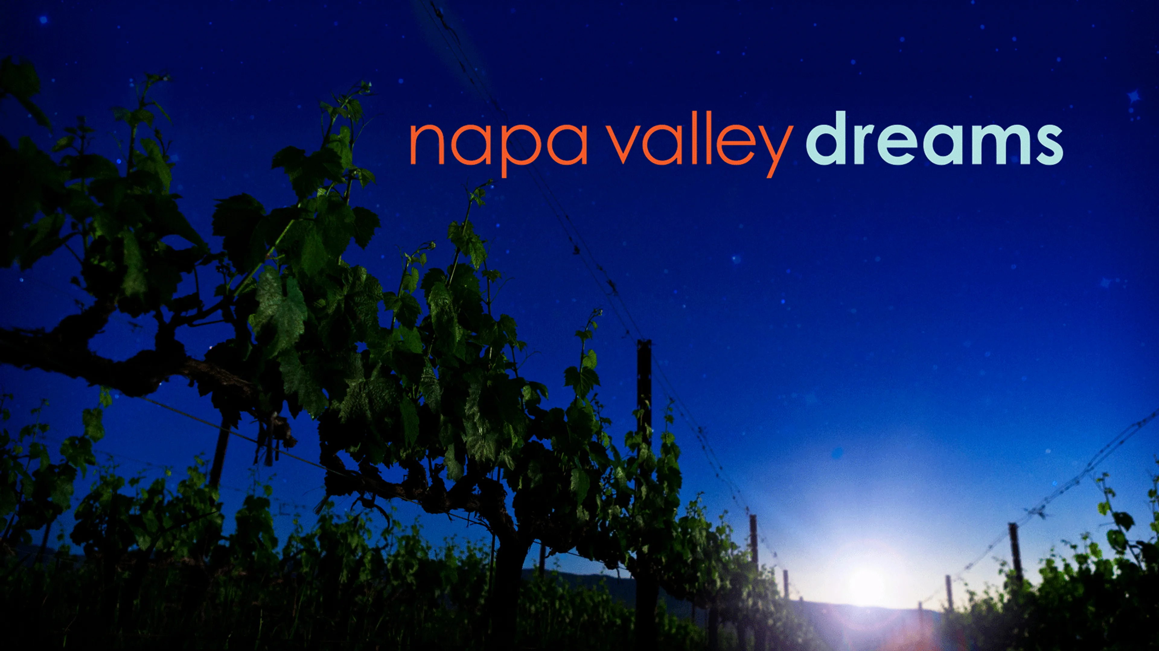 Napa Valley Dreams poster